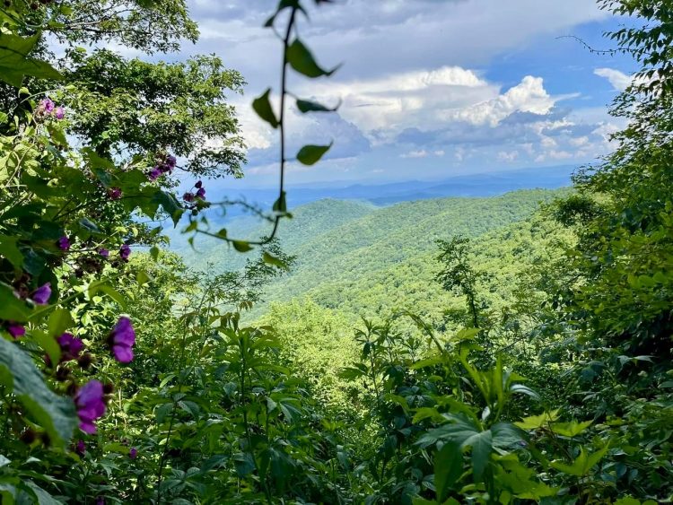 13.  Conditioning Hikes to Buck Spring Trail and Bridges Camp Gap Trail – July&nbsp;8