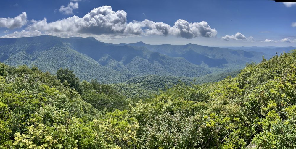14.  A Reflection on Greybeard Overlook and Big East Fork River Trails – July&nbsp;14