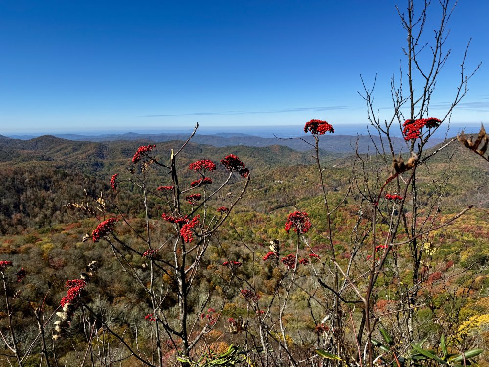 37.  Intensive Hiking before the&nbsp;Volcanoes